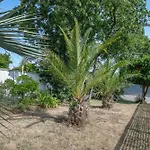 Maison Familiale Pour 8 Pers - 400m De La 度假居